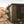 Standard Awning Room - Underland Offroad
