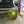 SSE S1 Fog Light Upgrade | 24+ Silverado / Sierra HD | ZR2 Bison / AT4X AEV Edition
